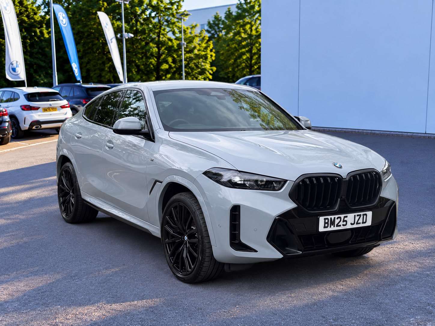 BMW X6 DIESEL ESTATE Xdrive40D Mht M Sport 5Dr Step Auto